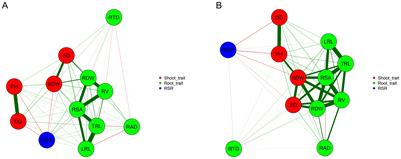 Genetic diversity, relationships among traits and selection of tropical maize inbred lines for low-P tolerance based on root and shoot traits at seedling stage